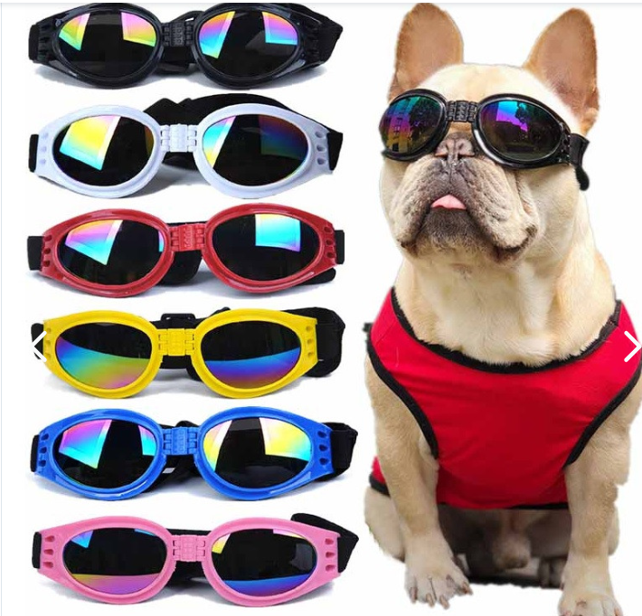 Gafas Perro Viaje Moto Proteje Luz Agua