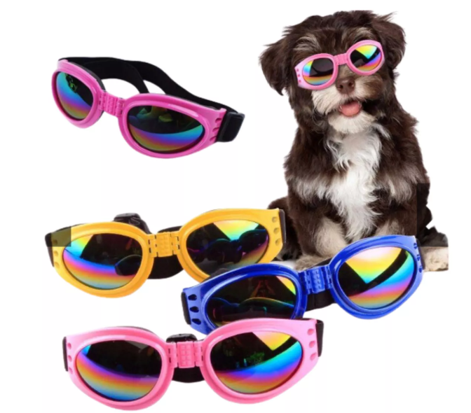 Gafas Perro Viaje Moto Proteje Luz Agua