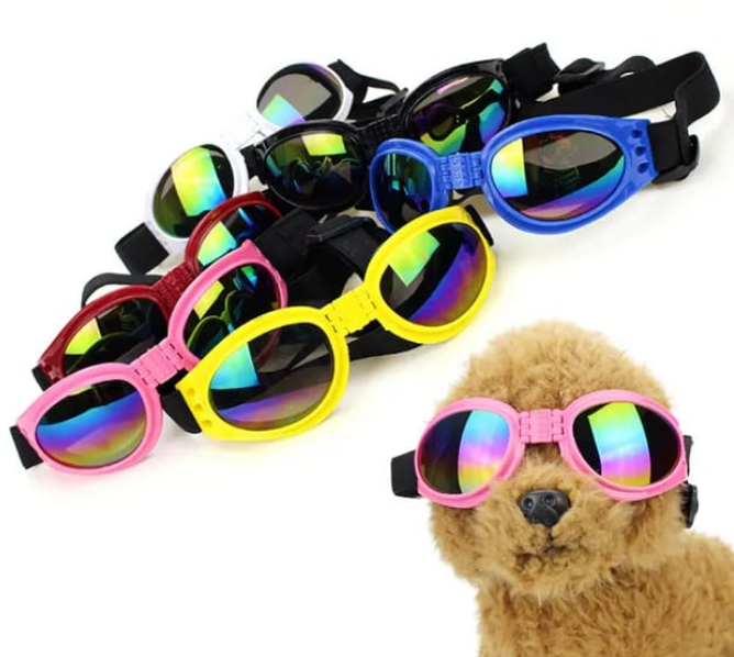 Gafas Perro Viaje Moto Proteje Luz Agua