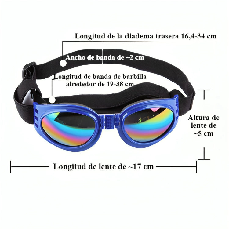 Gafas Perro Viaje Moto Proteje Luz Agua