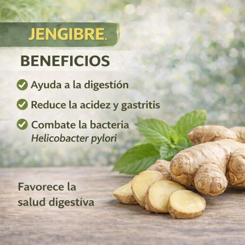 LITEPLEX SANA TU ESTOMAGO DE FORMA NATURAL