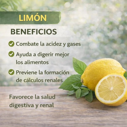 LITEPLEX SANA TU ESTOMAGO DE FORMA NATURAL