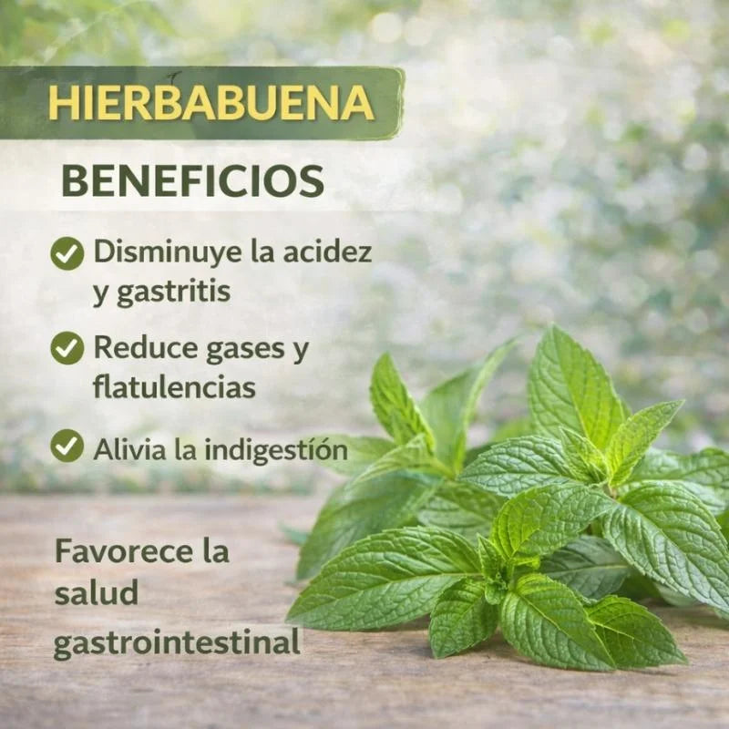 LITEPLEX SANA TU ESTOMAGO DE FORMA NATURAL